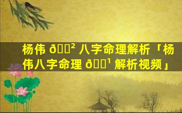 杨伟 🌲 八字命理解析「杨伟八字命理 🌹 解析视频」